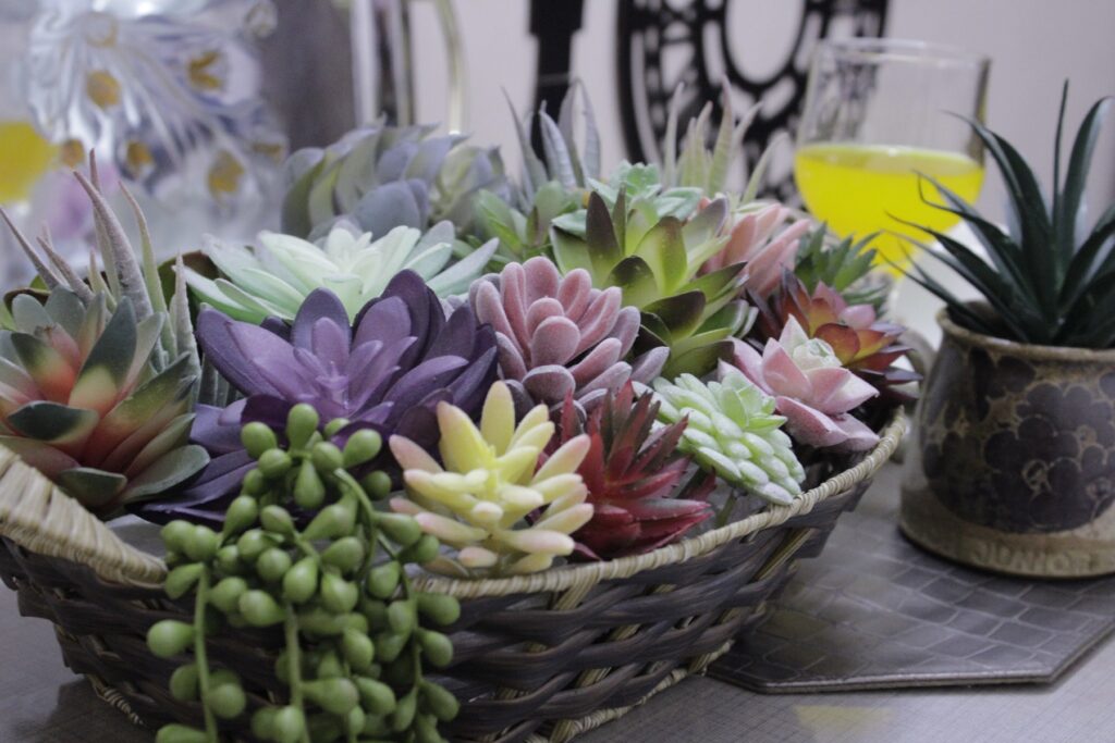 succulents plants artificial DIY Prorject in basket for dinning table