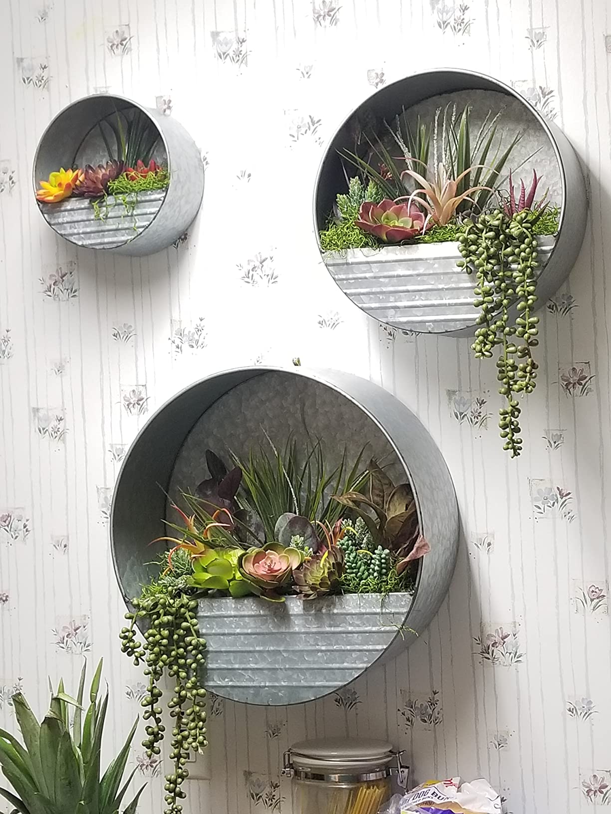 decorous artificial succulents wall hanging arrangement