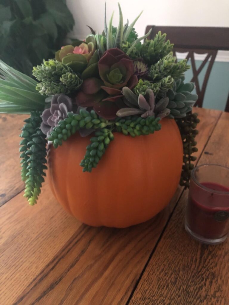 pumpkin Succulents arrangement