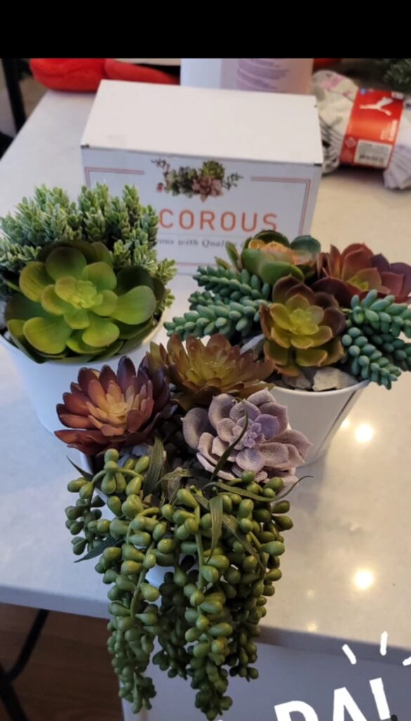 Faux Succulents Ceramic Pots Decor