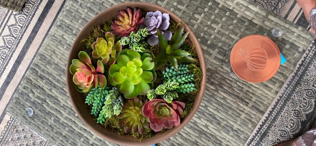 Dinning Table Faux Succulents Decor in Bowl