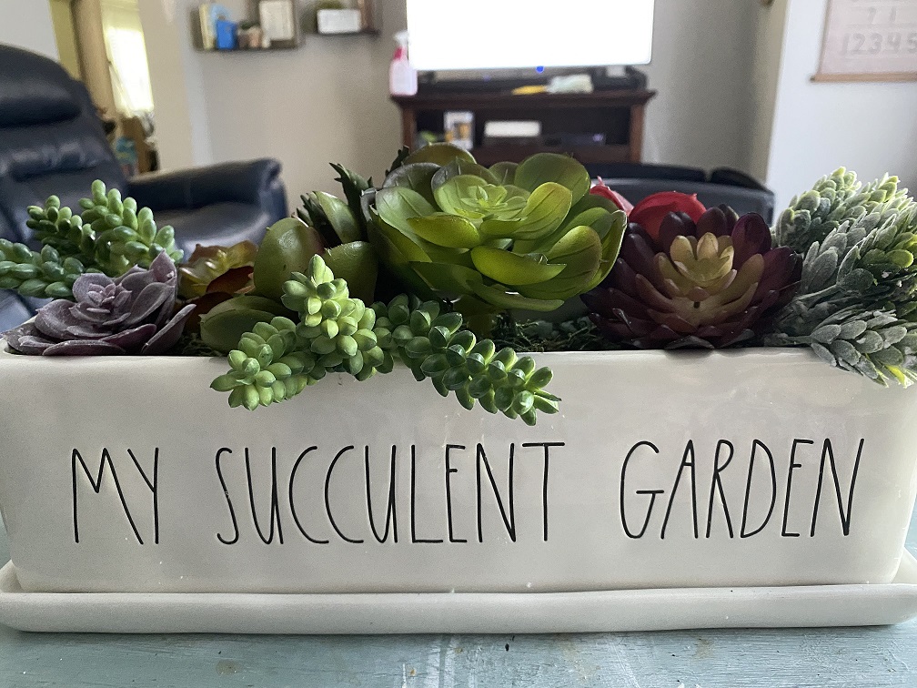 Fake Succulent Plants Arrangement in Square Ceramic Pot
