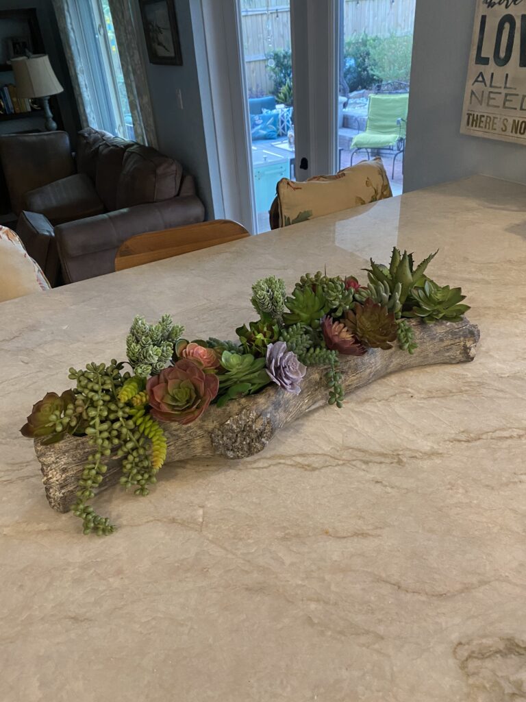 Fake Plants Succulents Decor in Natural Wooden Piece 