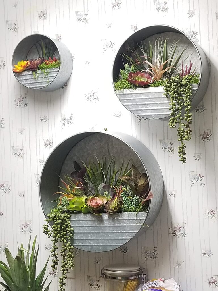Wall hanging Succulents arrangement
