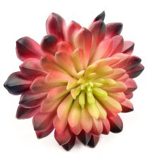 fake red yellow succulent flower